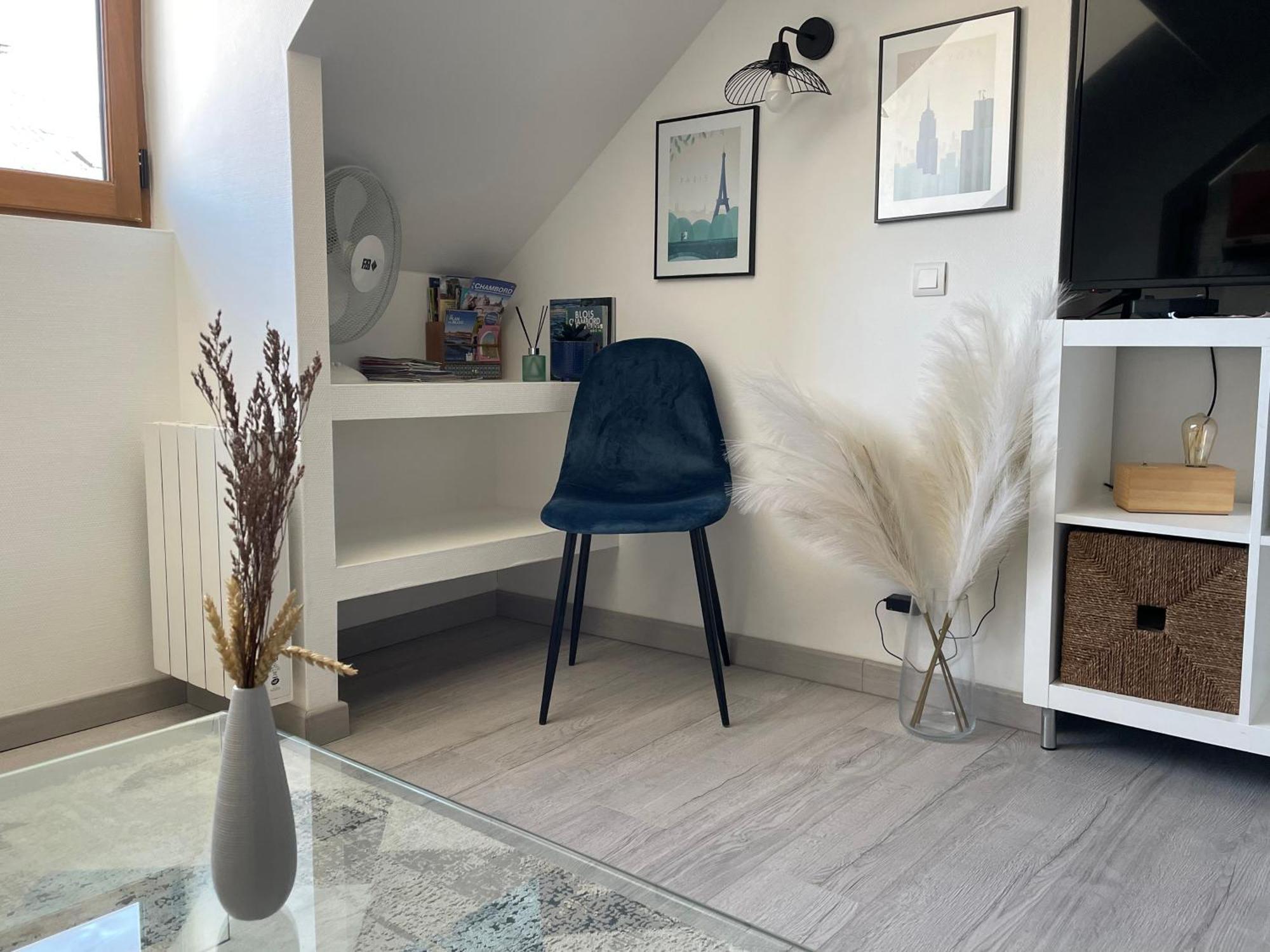 Magnifique Logement Au Pied Du Chateau Blois Eksteriør billede