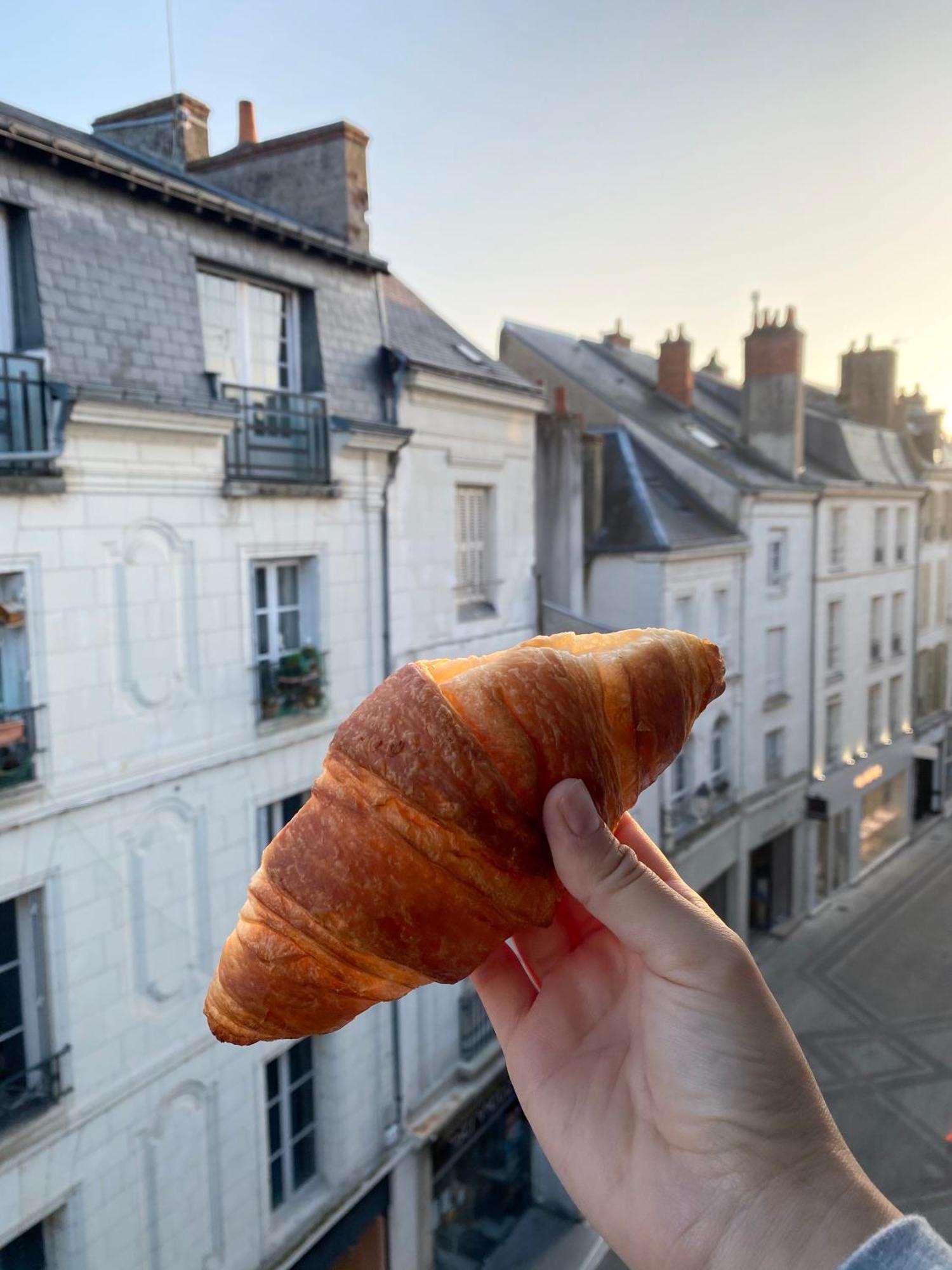 Magnifique Logement Au Pied Du Chateau Blois Eksteriør billede