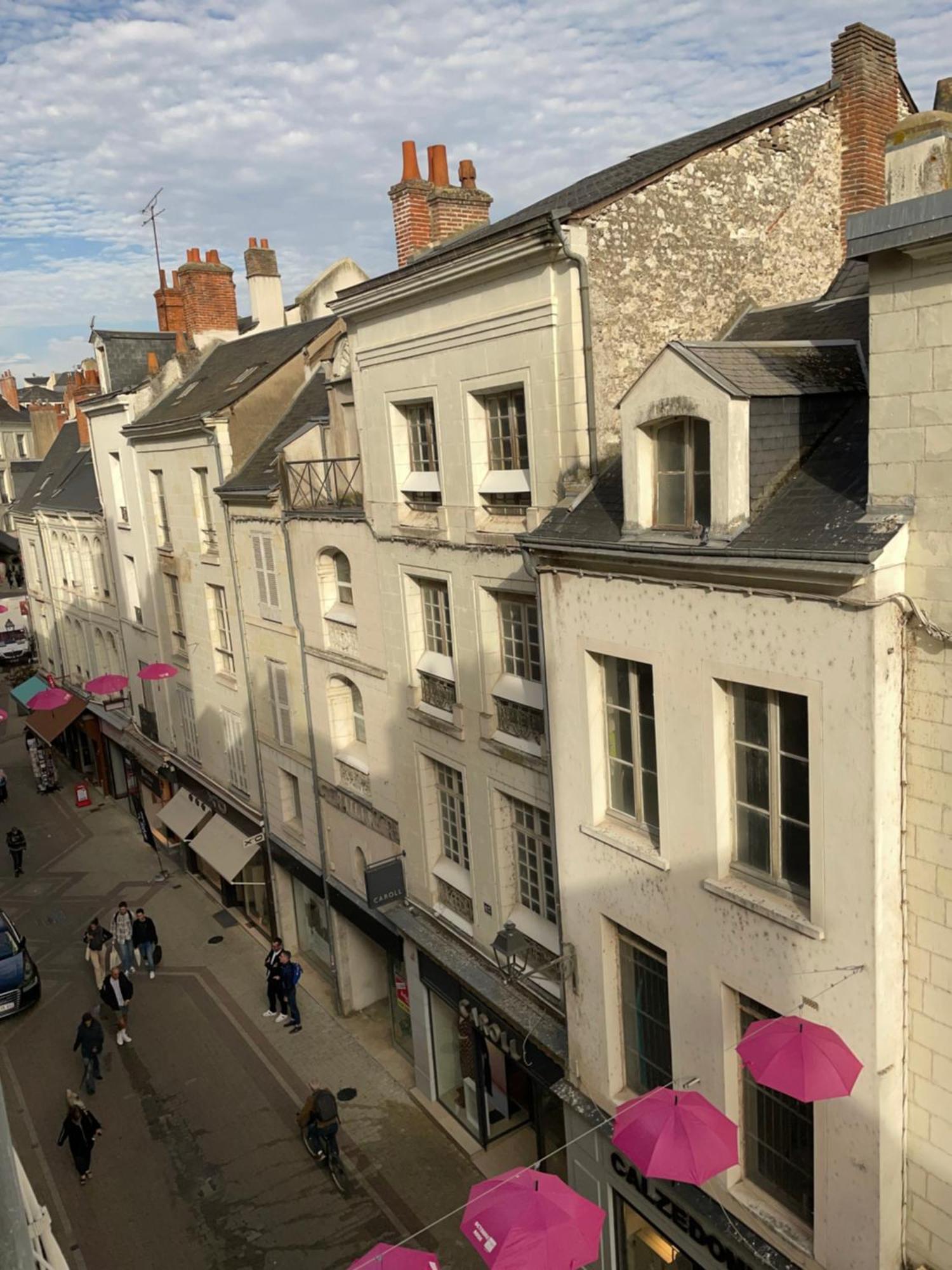 Magnifique Logement Au Pied Du Chateau Blois Eksteriør billede
