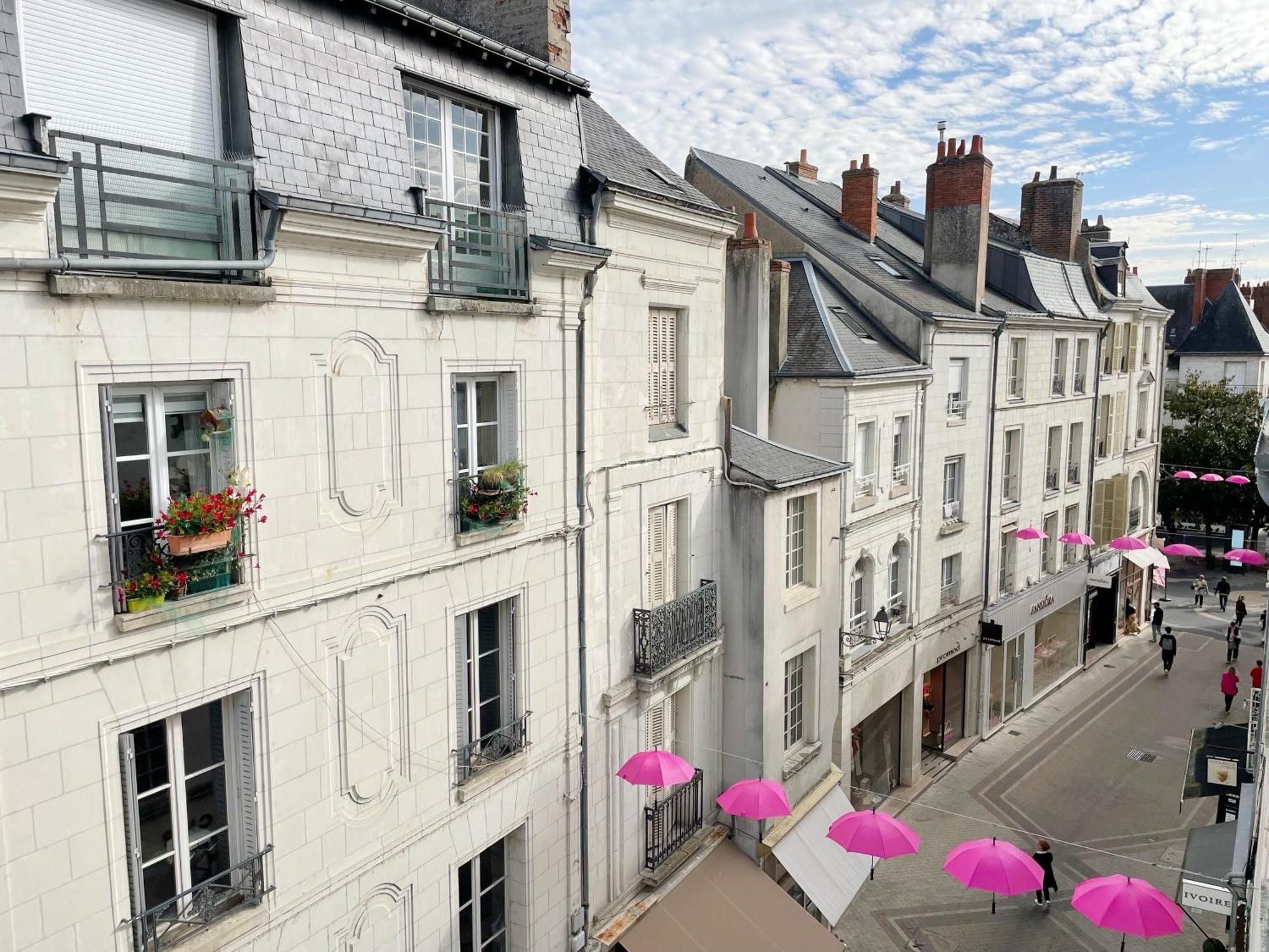 Magnifique Logement Au Pied Du Chateau Blois Eksteriør billede